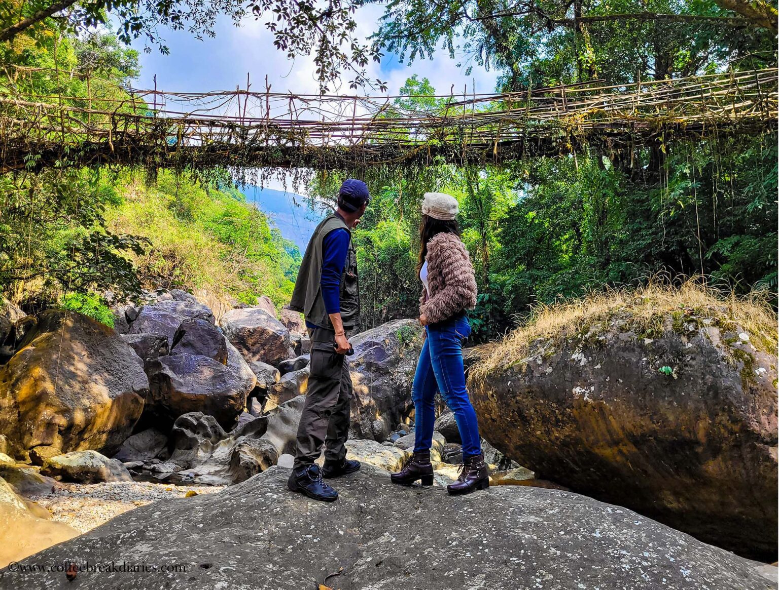 trek to double decker root bridge